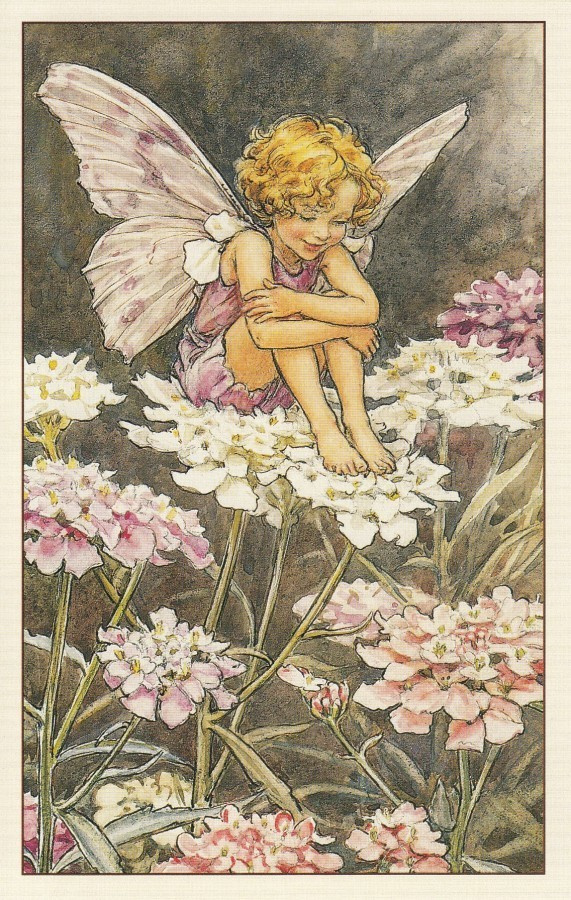 Cicely Mary Barker: Kukkakeijut saippo