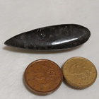 Luonnonkivi, Orthoceras-oikosarvifossiili - pikkukuva 4