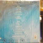 MICK JAGGER - WANDERING SPIRIT RARE EU 93 PAINOS EX+/EX+ LP - pikkukuva 2