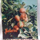 Pellervo No 15 syyskuu 1961 - pikkukuva 1