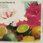 Hausmylly • Jos Vielä Muistat / Kuiskauksia PROMO CD-Single - pikkukuva 2