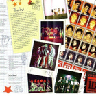 dvd music, One Direction - Up All night - The Live Tour [pop - pikkukuva 3