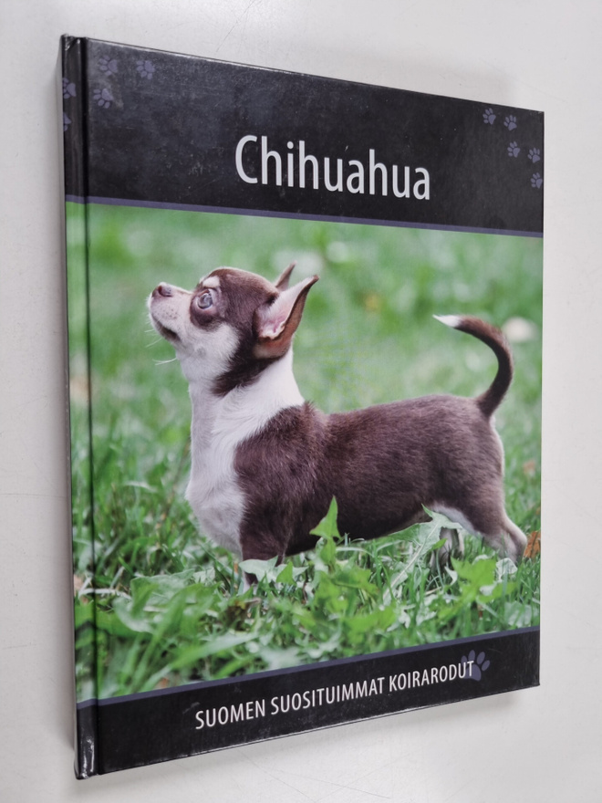 Chihuahua