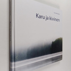 Pentti Mansukoski : Karu ja kivinen - pikkukuva 1