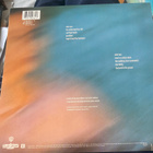 Jane Siberry: The Walking 1987/1988 LP - pikkukuva 2