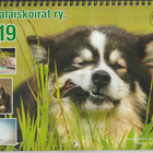 KALENTERI : 2019 Lappalaiskoirat ry - pikkukuva 1
