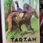KIRJA : TARZAN : APINAIN KUNINGAS 6 PAINOS VUOSI 1970 - pikkukuva 1