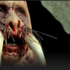 Tusk Dvd - pikkukuva 4