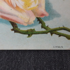 Vanha kukkakortti n. 1920 luku, S no 30/9 - pikkukuva 3