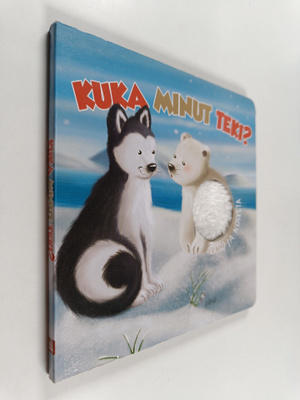 Fransesca Pesci : Kuka minut teki?
