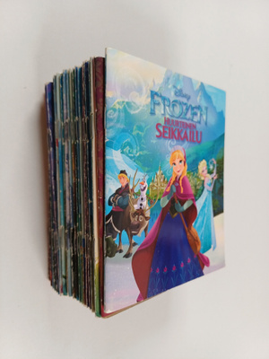 Frozen-joulukalenteri : tarinoiden taikamaailma