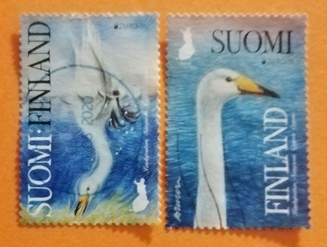 SUOMI 2019 EUROPA - Laulujoutsen