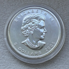 Hopearaha 1 oz Kanada Maple Leaf 2006, hopea - pikkukuva 1