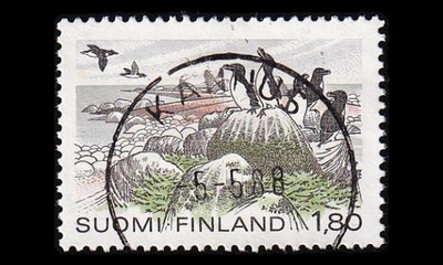 918x o Ruokit x-pap loisto Kannus 5.5.88 (1983)