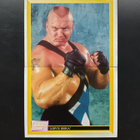 1993 Merlin WWF #140 & 141 Tony Halme - pikkukuva 1