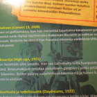 Buster Keaton elokuvaklassikot DVD - pikkukuva 2