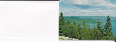 Koli b686