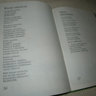 Kaisa Kantola Hiirenvilkkaa - pikkukuva 2