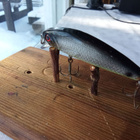 Abu Garcia Tormentor Floating 7cm räminäkuulilla - pikkukuva 2