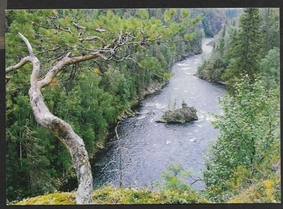 Kuusamo - Kitkajoki