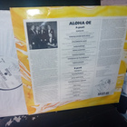 LP Onni Gideon : Aloha Oe ( SIS POSTIKULU ) - pikkukuva 2