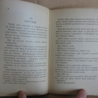 Stein Riverton: Mongolialaiskasvot, Helsinki 1917. 94 s. - pikkukuva 5