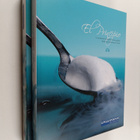 El Principio : La revolucion de la gastronomia espanola d... - pikkukuva 1