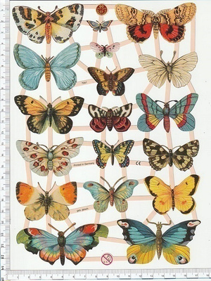 ~ EF 7297, upeat perhoset-arkki ~