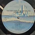 Chrome Molly – You Can't Have It All.......Or Can You?  LP - pikkukuva 3