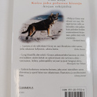 Philip Gonzales ym. : Ginny : suurkaupungin enkeli - pikkukuva 2