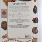 Paul D. Taylor : Fossiilit - pikkukuva 2
