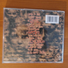 Korn:Untouchables CD - pikkukuva 2
