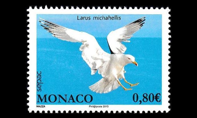 Monaco 3139 ** Lintu Välimeren lokki (2013)