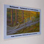 Kotimaani - satumaani eri vuodenaikoina : Seppo Saloranna... - pikkukuva 1