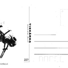 HEVONEN POSTIKORTTI - pikkukuva 2