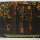 Ironica • Consequences CD - pikkukuva 2