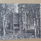 Helsinki, Oulunkylä, komea huvila koivujen takana, p. 1912 - pikkukuva 1