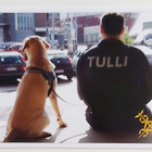 "Tullimies ja koira"  KULKEMATON POSTIKORTTI - pikkukuva 1