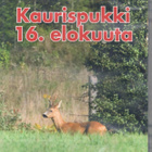 Metsästys & Eräelämä - Kaurispukki 16. elokuuta (DVD) - pikkukuva 1