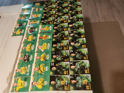 Ilves kortteja nimmareilla