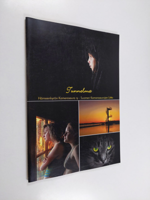 Tunnelma : teemanäyttely 2011