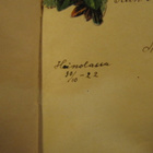 Runoilua vanha runokirja 1922- 1923. - pikkukuva 2