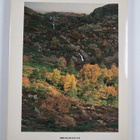 Stord - Fitjar og oyane - pikkukuva 2