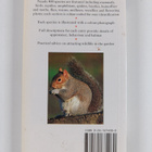 Michael Chinery : Garden wildlife of Britain & Europe - pikkukuva 2