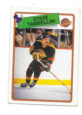 1988-89 OPC #258 Steve Tambellini , Vancouver Canucks