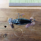 Salmo Tiny 3 - pikkukuva 4