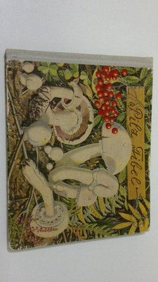 Hans Kern : Pilzfibel