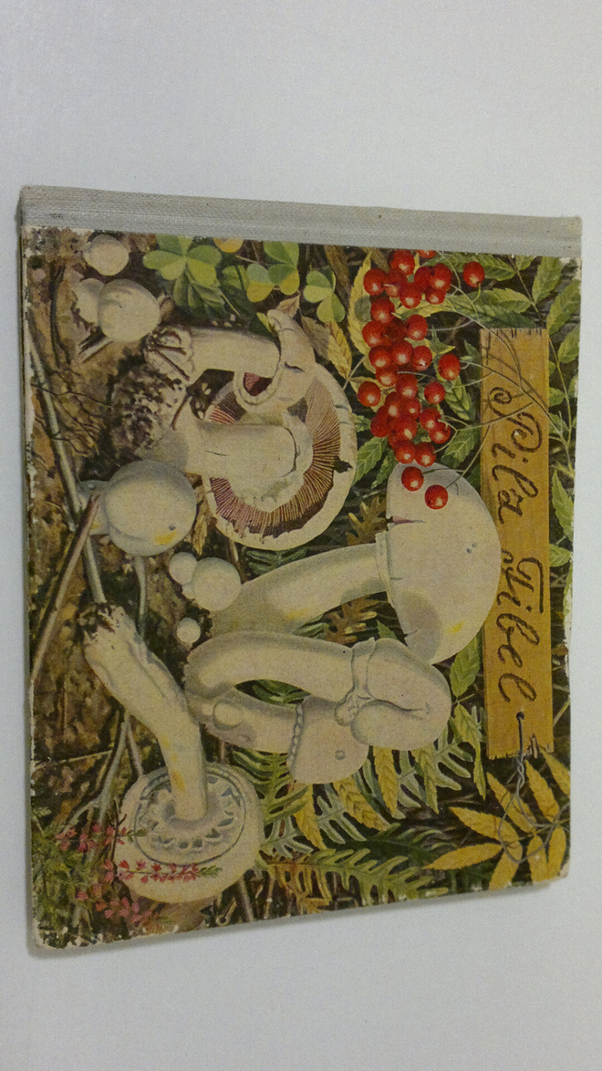 Hans Kern : Pilzfibel