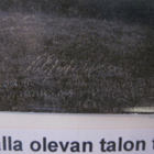 VANHA Postikortti Lieto Mellilä 1920-l - pikkukuva 2