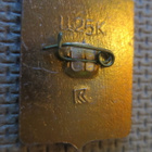 CCCP (Ukraina): vintage kaupunkipinssi - Truskavets - pikkukuva 2